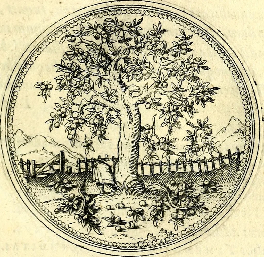 An illustration from Symbolorvm et emblematvm ex re herbaria desvmtorvm centvria vna, 1590, leaf 60