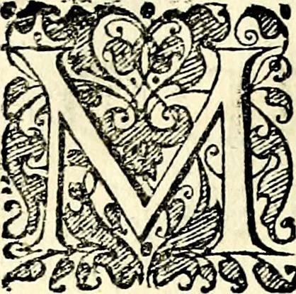 An illustration from Symbolorvm et emblematvm ex re herbaria desvmtorvm centvria vna, 1590, leaf 65