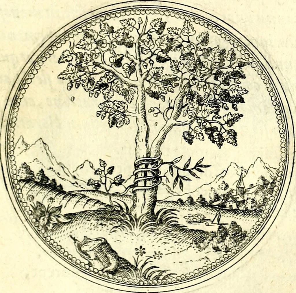 An illustration from Symbolorvm et emblematvm ex re herbaria desvmtorvm centvria vna, 1590, leaf 66