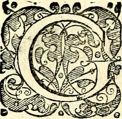 An illustration from Symbolorvm et emblematvm ex re herbaria desvmtorvm centvria vna, 1590, leaf 67