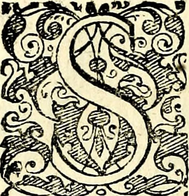 An illustration from Symbolorvm et emblematvm ex re herbaria desvmtorvm centvria vna, 1590, leaf 69