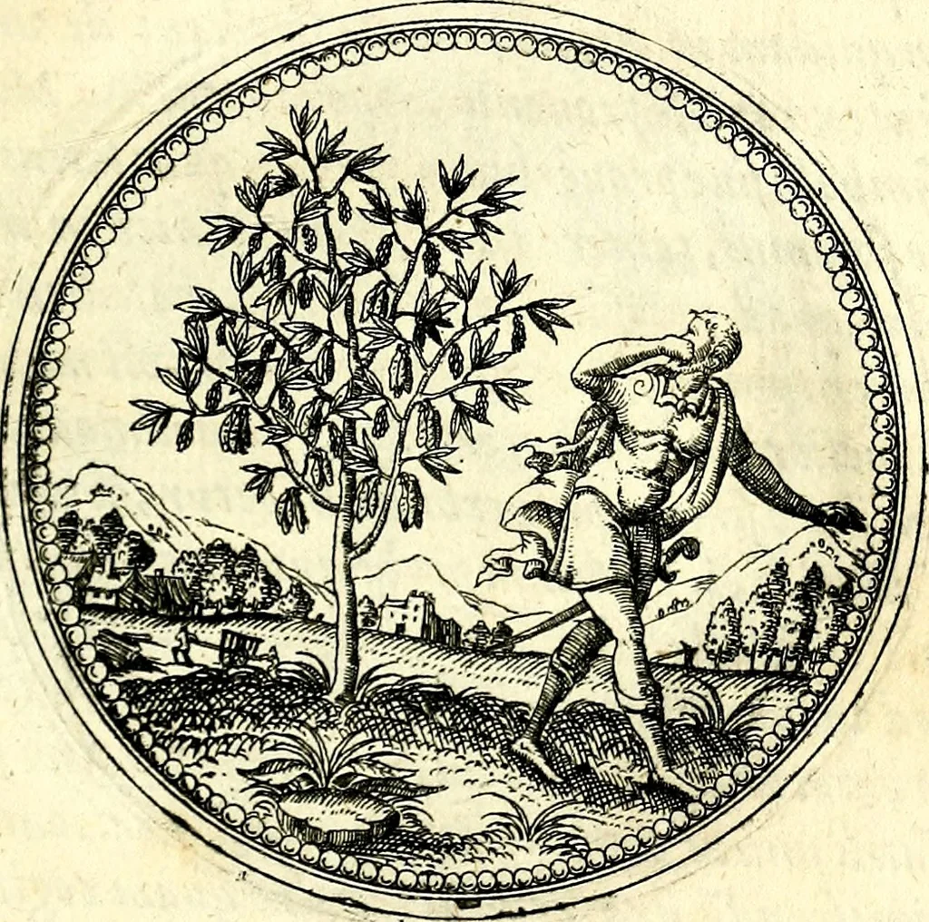 An illustration from Symbolorvm et emblematvm ex re herbaria desvmtorvm centvria vna, 1590, leaf 70