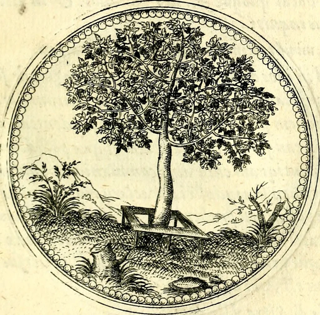 An illustration from Symbolorvm et emblematvm ex re herbaria desvmtorvm centvria vna, 1590, leaf 72