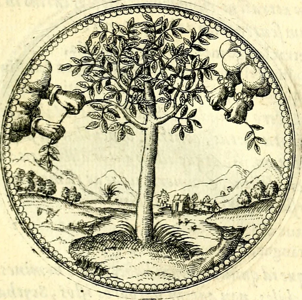 An illustration from Symbolorvm et emblematvm ex re herbaria desvmtorvm centvria vna, 1590, leaf 76