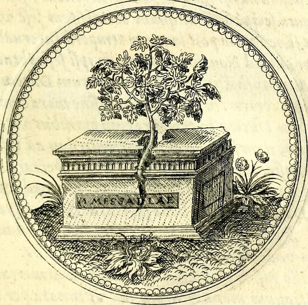 An illustration from Symbolorvm et emblematvm ex re herbaria desvmtorvm centvria vna, 1590, leaf 78