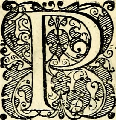 An illustration from Symbolorvm et emblematvm ex re herbaria desvmtorvm centvria vna, 1590, leaf 79