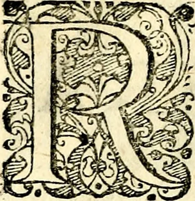An illustration from Symbolorvm et emblematvm ex re herbaria desvmtorvm centvria vna, 1590, leaf 81
