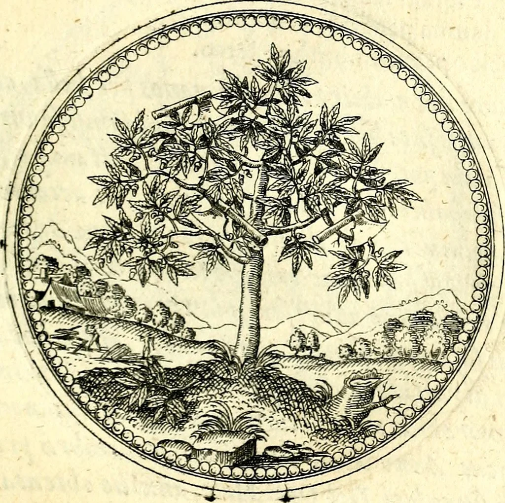 An illustration from Symbolorvm et emblematvm ex re herbaria desvmtorvm centvria vna, 1590, leaf 84