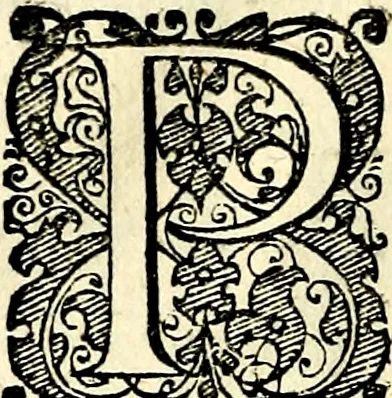 An illustration from Symbolorvm et emblematvm ex re herbaria desvmtorvm centvria vna, 1590, leaf 87