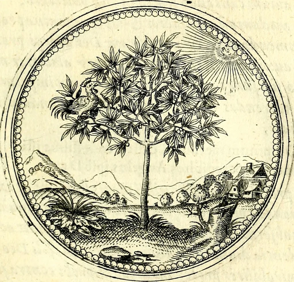 An illustration from Symbolorvm et emblematvm ex re herbaria desvmtorvm centvria vna, 1590, leaf 88