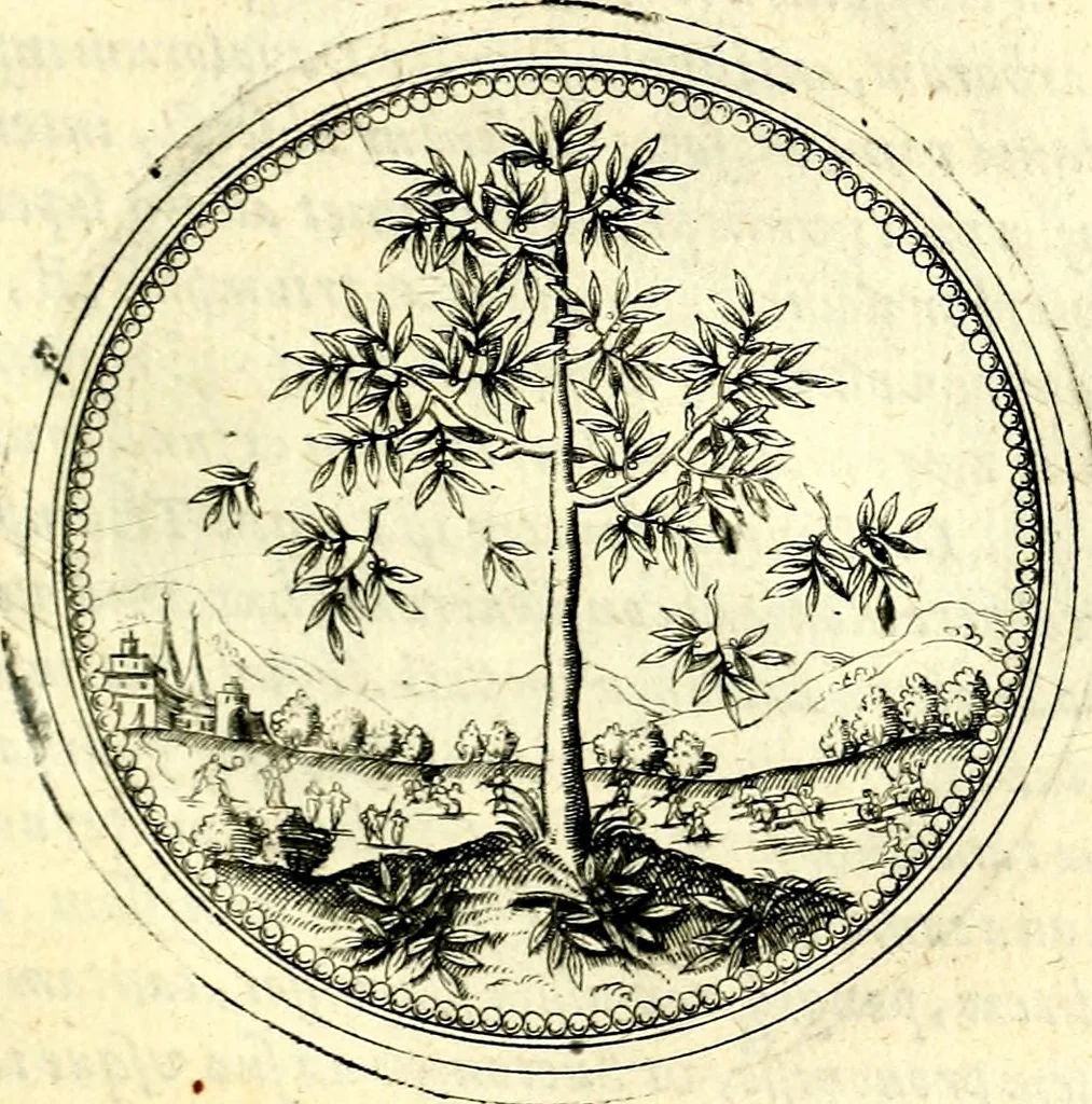 An illustration from Symbolorvm et emblematvm ex re herbaria desvmtorvm centvria vna, 1590, leaf 90