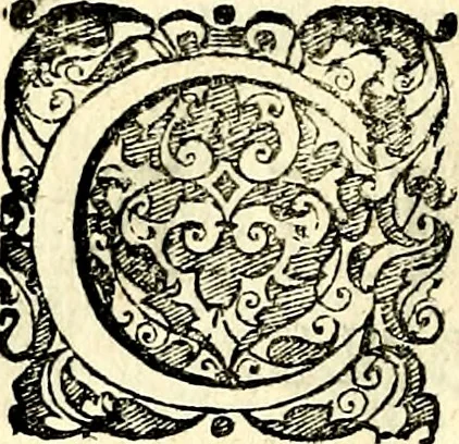 An illustration from Symbolorvm et emblematvm ex re herbaria desvmtorvm centvria vna, 1590, leaf 91