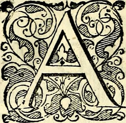An illustration from Symbolorvm et emblematvm ex re herbaria desvmtorvm centvria vna, 1590, leaf 95