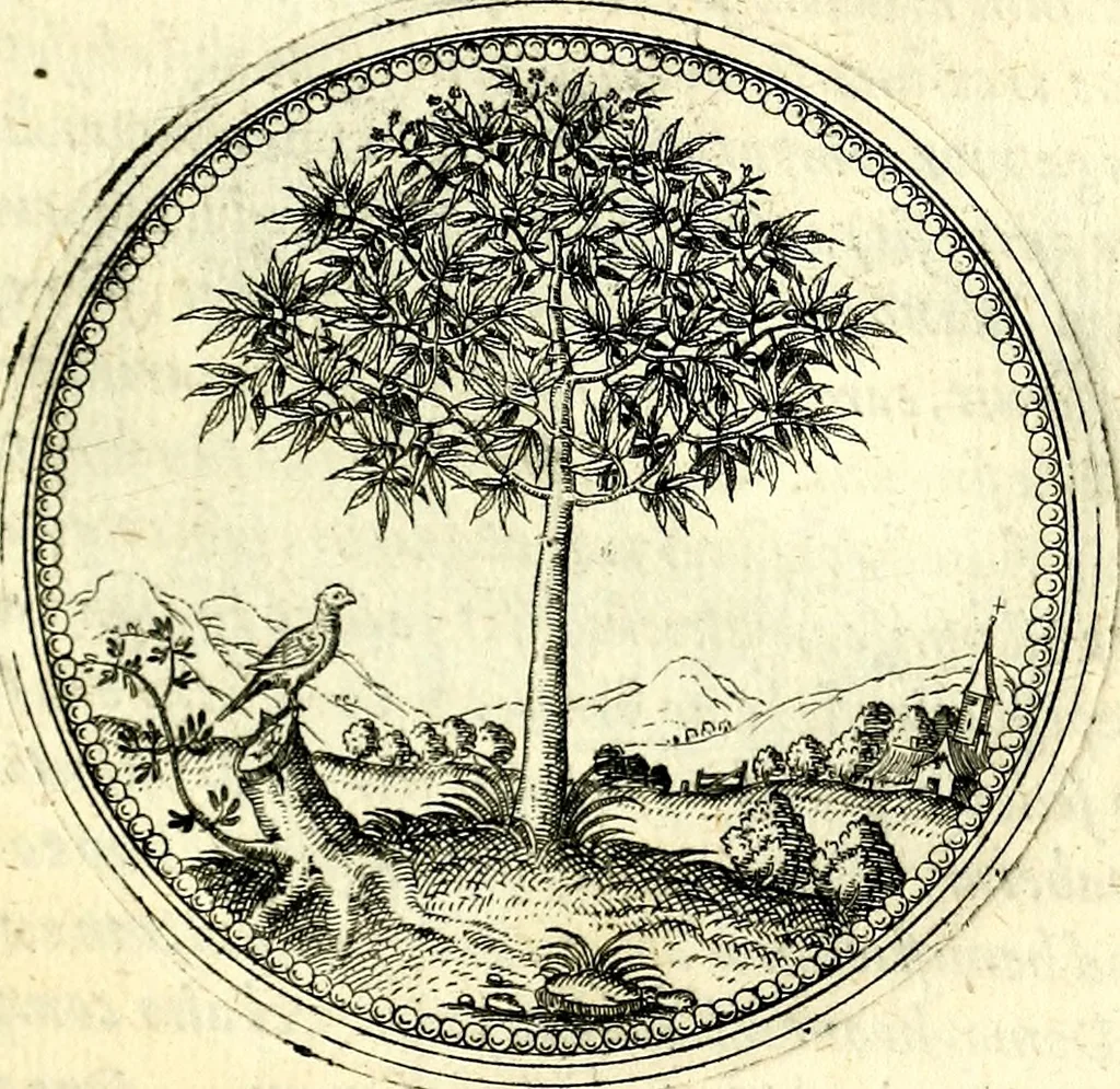 An illustration from Symbolorvm et emblematvm ex re herbaria desvmtorvm centvria vna, 1590, leaf 96