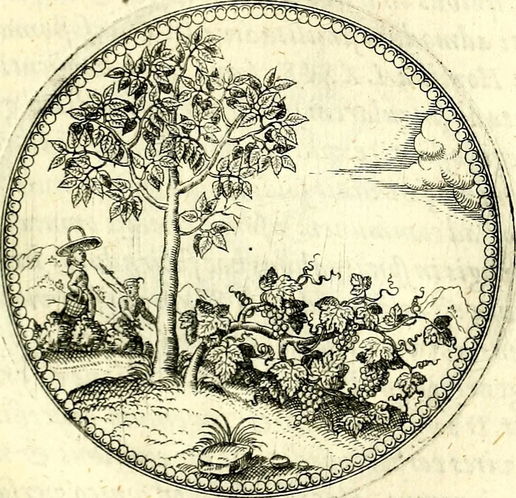 An illustration from Symbolorvm et emblematvm ex re herbaria desvmtorvm centvria vna, 1590, leaf 98