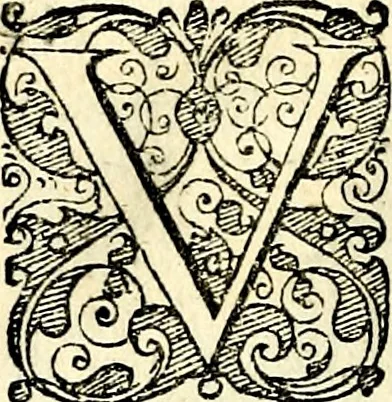 An illustration from Symbolorvm et emblematvm ex re herbaria desvmtorvm centvria vna, 1590, leaf 99