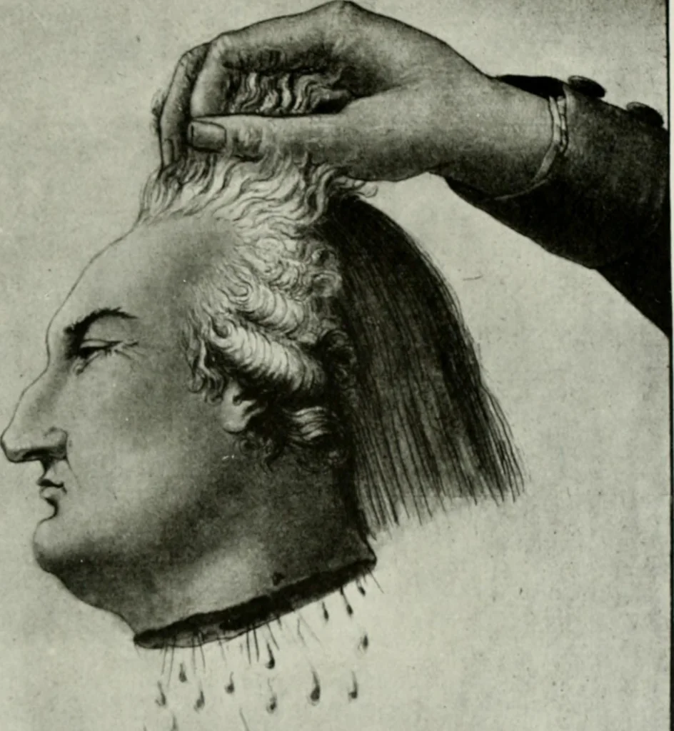 An illustration from Symbol and satire in the French Revolution, 1912, leaf 358