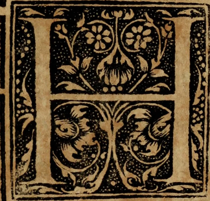 An illustration from Syngramma historiae theoreticae, 1629, leaf 14