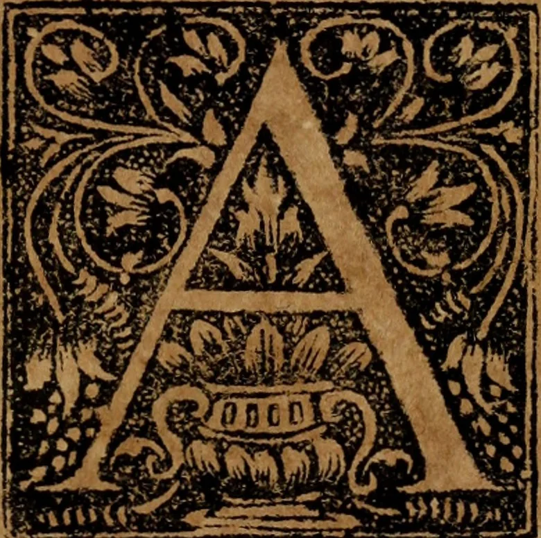 An illustration from Syngramma historiae theoreticae, 1629, leaf 184