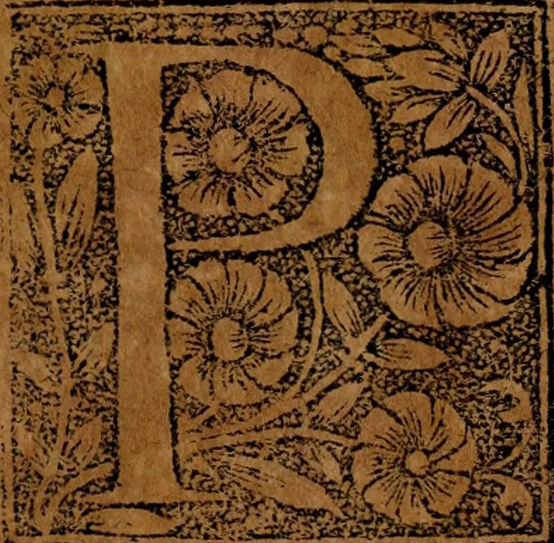 An illustration from Syngramma historiae theoreticae, 1629, leaf 196