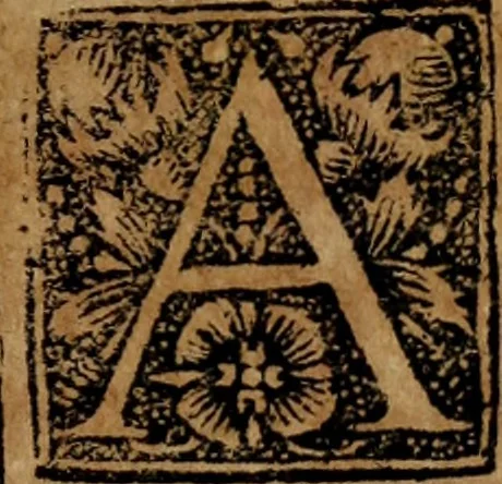 An illustration from Syngramma historiae theoreticae, 1629, leaf 226