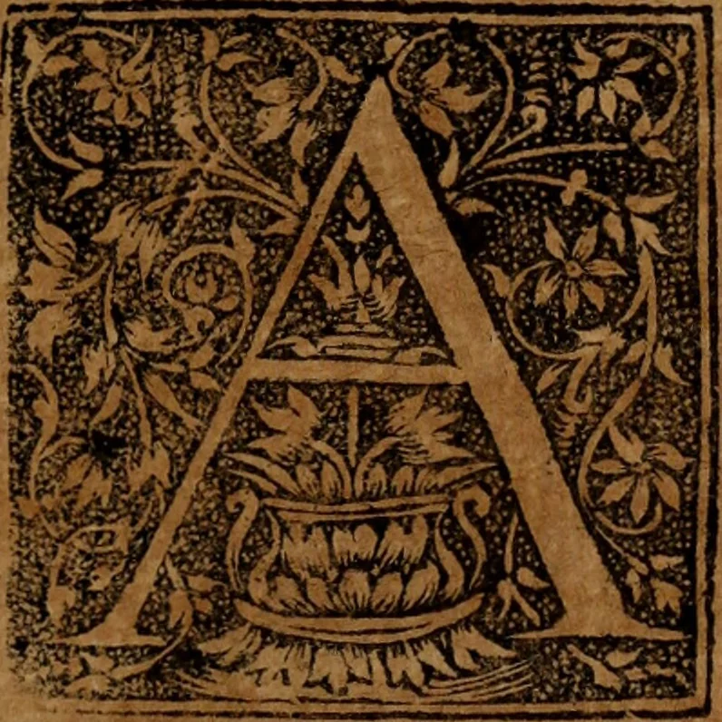 An illustration from Syngramma historiae theoreticae, 1629, leaf 24
