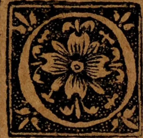 An illustration from Syngramma historiae theoreticae, 1629, leaf 246