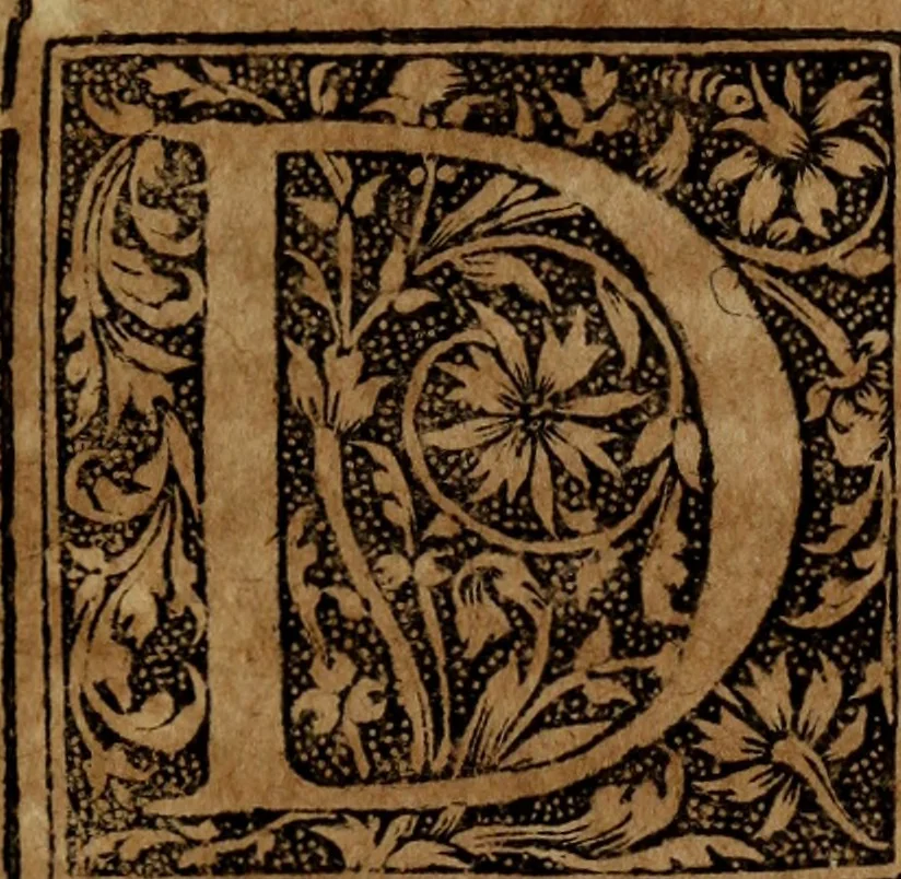 An illustration from Syngramma historiae theoreticae, 1629, leaf 34