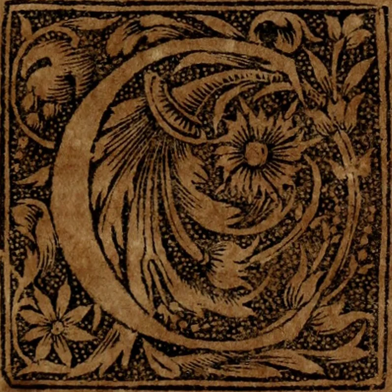 An illustration from Syngramma historiae theoreticae, 1629, leaf 62