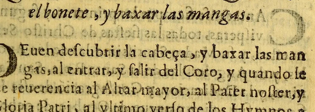 An illustration from Synodo diocesana con la carta pastoral convocatoria para el; : y otra en orden, a la paga de los diezmos. Celebrola el Illmo. y Revmo. Sor. Dor. Mtro. don Fray Bernardo Carrasco de Saavedra obispo de Santigo de Chile del Consejo de su Magestad, en la Iglesia Cathedral de dicha ciudad. A que se dio principio domingo diez, y ocho de enero de mil y seiscientos y ochenta, y ocho años, y se publicò en en [sic] dos de mayo de dicho año., 1691, leaf 141