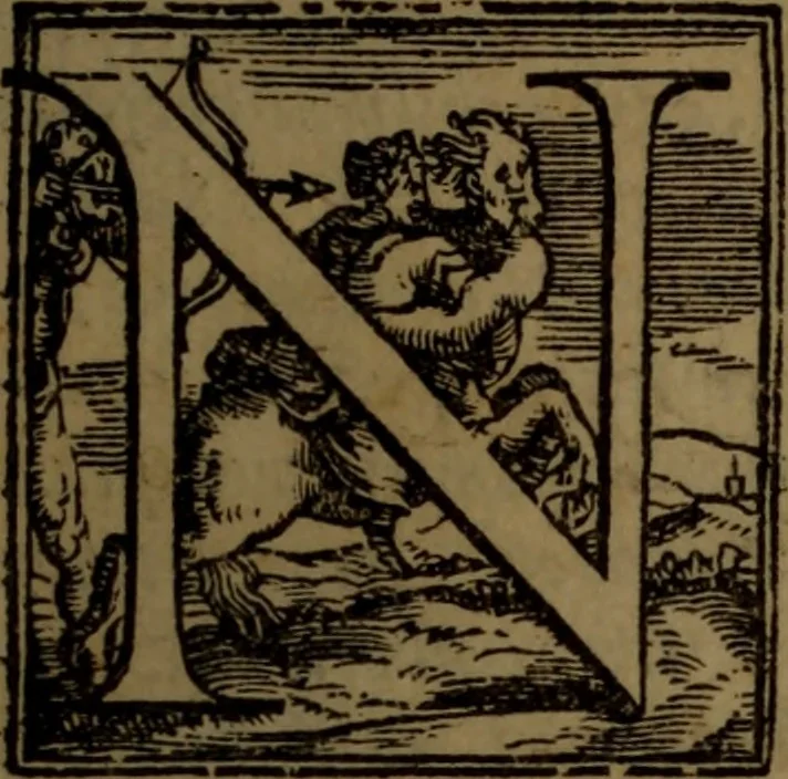 An illustration from Synopsis eorum, quae de balneis, aliisq[ue] miraculis Puteolanis scripta sunt, 1566, leaf 10