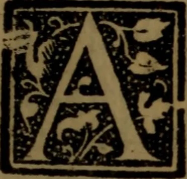 An illustration from Synopsis eorum, quae de balneis, aliisq[ue] miraculis Puteolanis scripta sunt, 1566, leaf 102