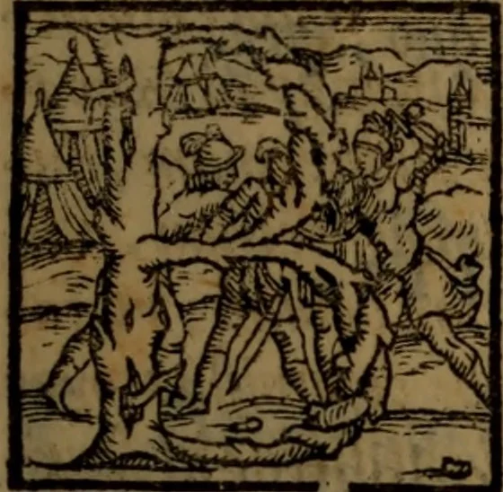 An illustration from Synopsis eorum, quae de balneis, aliisq[ue] miraculis Puteolanis scripta sunt, 1566, leaf 106