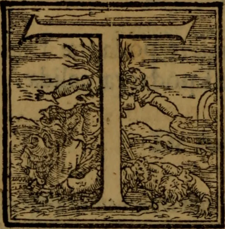 An illustration from Synopsis eorum, quae de balneis, aliisq[ue] miraculis Puteolanis scripta sunt, 1566, leaf 113