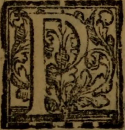 An illustration from Synopsis eorum, quae de balneis, aliisq[ue] miraculis Puteolanis scripta sunt, 1566, leaf 114