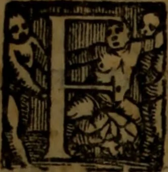 An illustration from Synopsis eorum, quae de balneis, aliisq[ue] miraculis Puteolanis scripta sunt, 1566, leaf 12