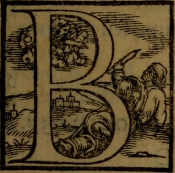 An illustration from Synopsis eorum, quae de balneis, aliisq[ue] miraculis Puteolanis scripta sunt, 1566, leaf 132