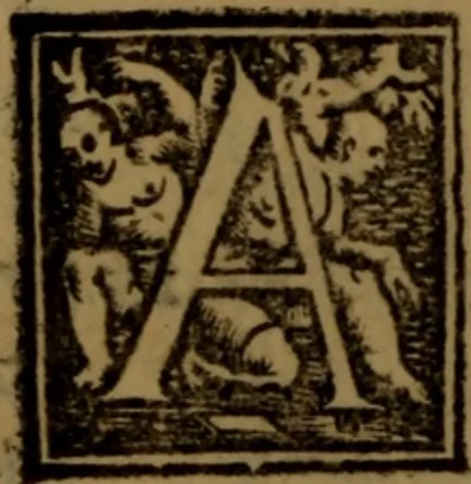 An illustration from Synopsis eorum, quae de balneis, aliisq[ue] miraculis Puteolanis scripta sunt, 1566, leaf 133