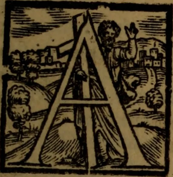 An illustration from Synopsis eorum, quae de balneis, aliisq[ue] miraculis Puteolanis scripta sunt, 1566, leaf 142
