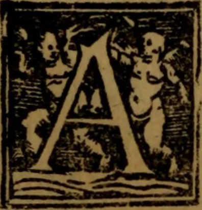 An illustration from Synopsis eorum, quae de balneis, aliisq[ue] miraculis Puteolanis scripta sunt, 1566, leaf 143