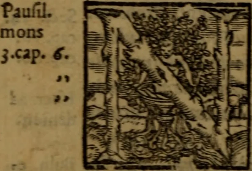 An illustration from Synopsis eorum, quae de balneis, aliisq[ue] miraculis Puteolanis scripta sunt, 1566, leaf 15