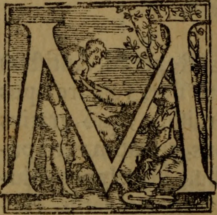 An illustration from Synopsis eorum, quae de balneis, aliisq[ue] miraculis Puteolanis scripta sunt, 1566, leaf 7
