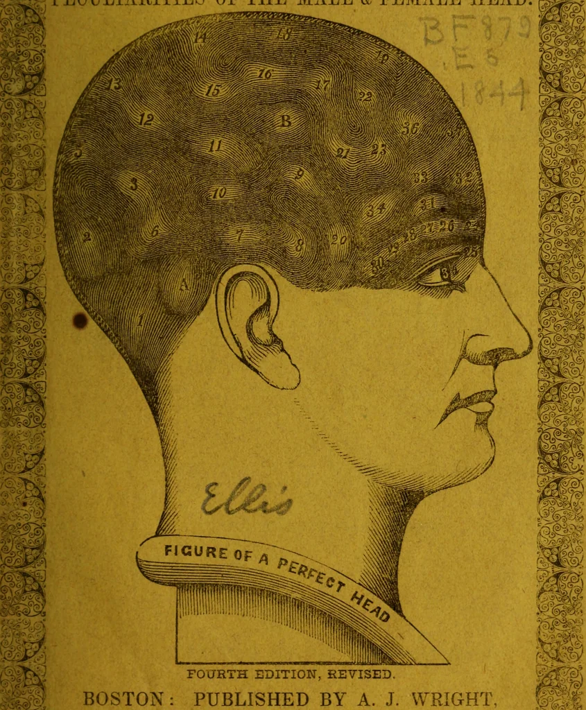 An illustration from Synopsis of phrenology: presenting general principles of the science, a description of the mental organs, and their location; also a combination, showing the manner in which they assist or counteract each other, 1844, leaf 2