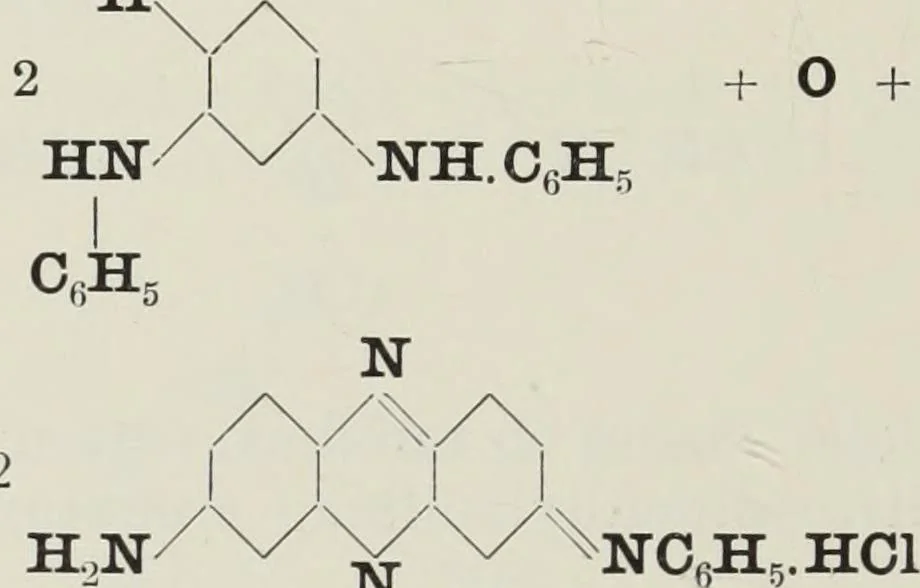 An illustration from The synthetic dyestuffs : and the intermediate products from which they are derived, 1905, leaf 163