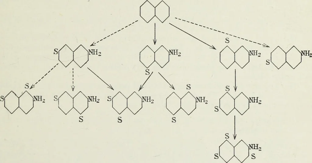 An illustration from The synthetic dyestuffs : and the intermediate products from which they are derived, 1905, leaf 32