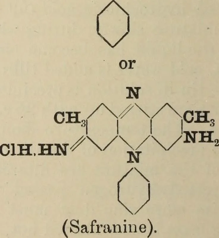 An illustration from The synthetic dyestuffs and the intermediate products from which they are derived, 1920, leaf 317
