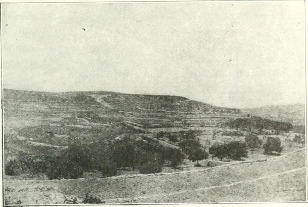 An illustration from Syria, 1920, leaf 152