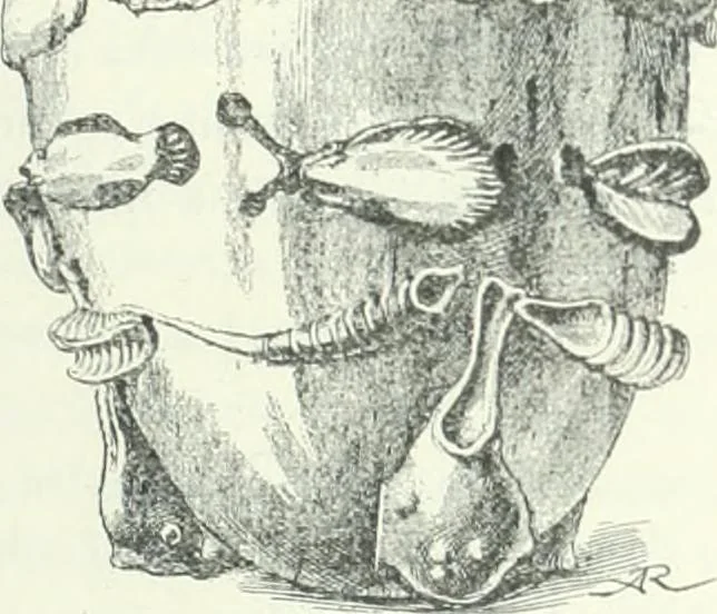 An illustration from Syria, 1920, leaf 282