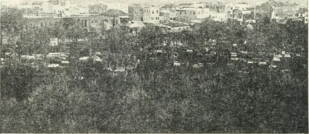 An illustration from Syria, 1920, leaf 31