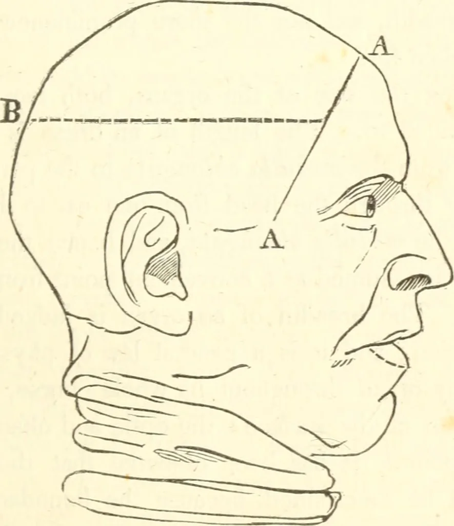 An illustration from A system of phrenology, 1835, leaf 106